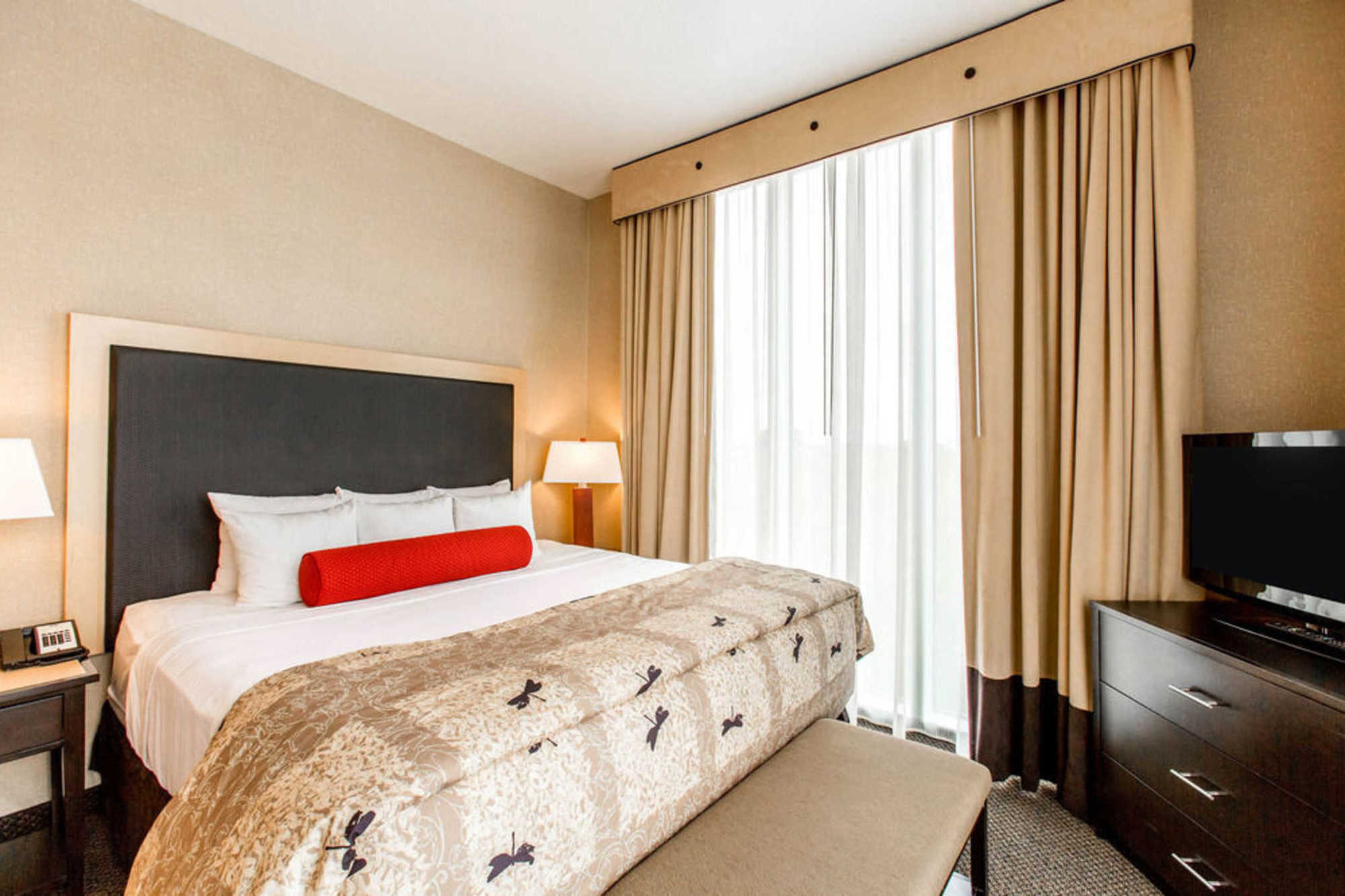 Springhill Suites By Marriott Roanoke Phòng bức ảnh