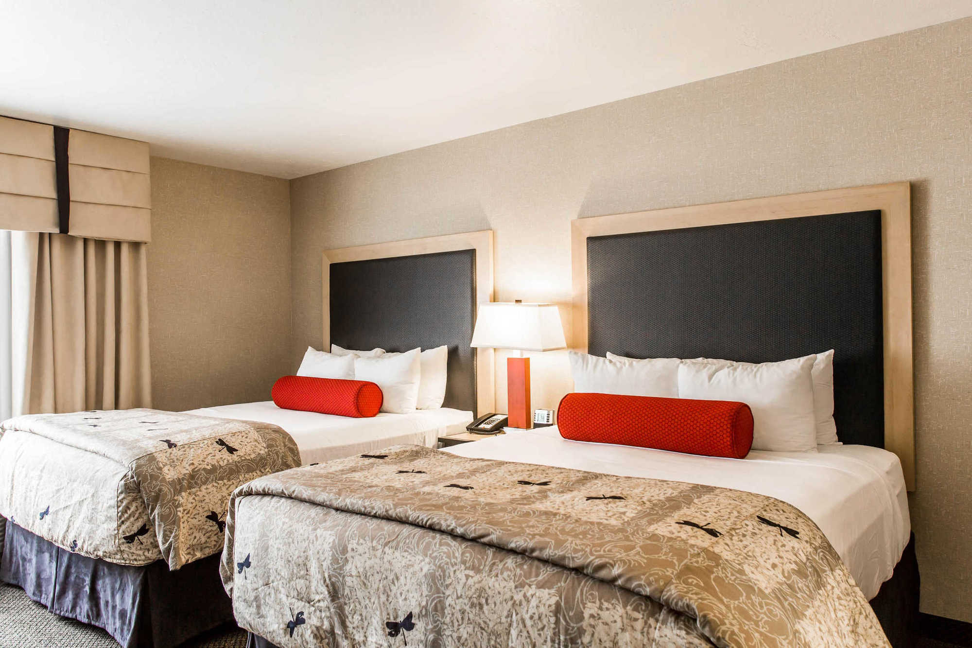 Springhill Suites By Marriott Roanoke Phòng bức ảnh