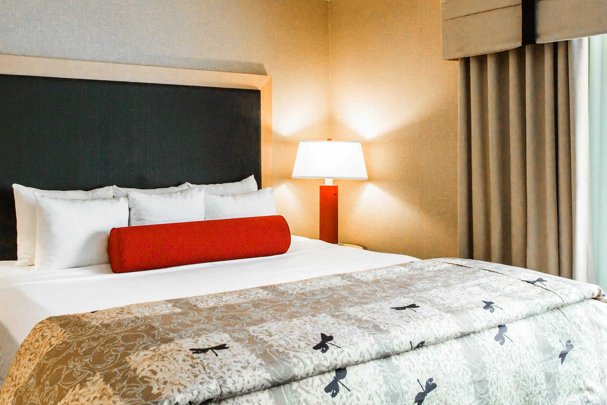 Springhill Suites By Marriott Roanoke Phòng bức ảnh