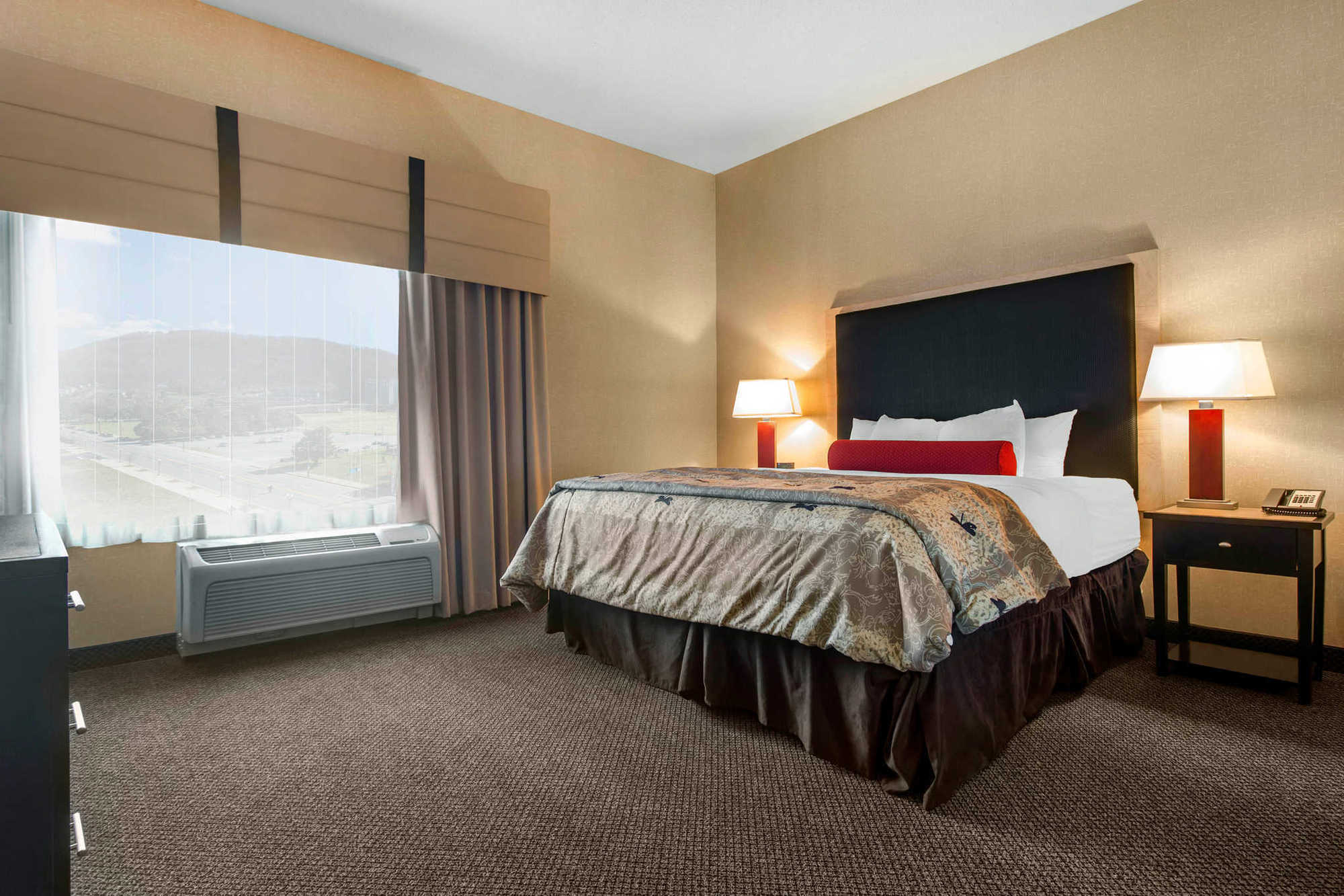 Springhill Suites By Marriott Roanoke Phòng bức ảnh