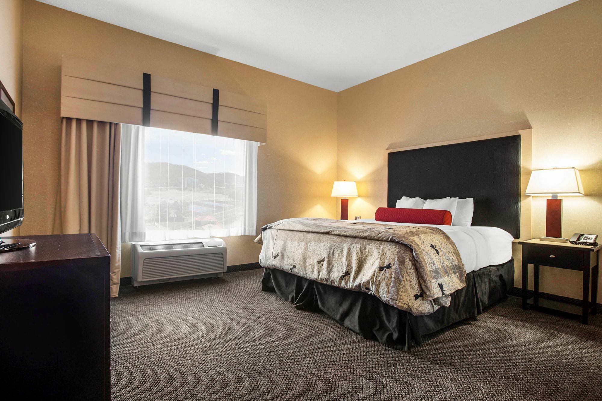 Springhill Suites By Marriott Roanoke Ngoại thất bức ảnh