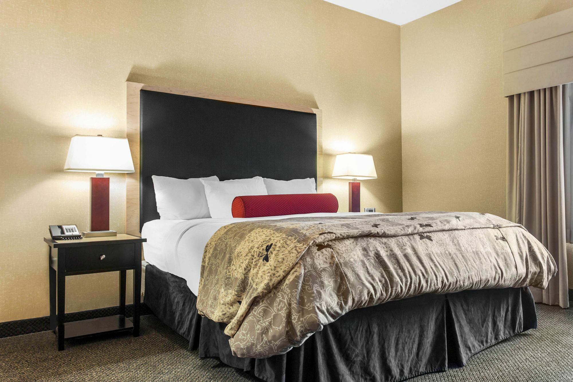 Springhill Suites By Marriott Roanoke Ngoại thất bức ảnh