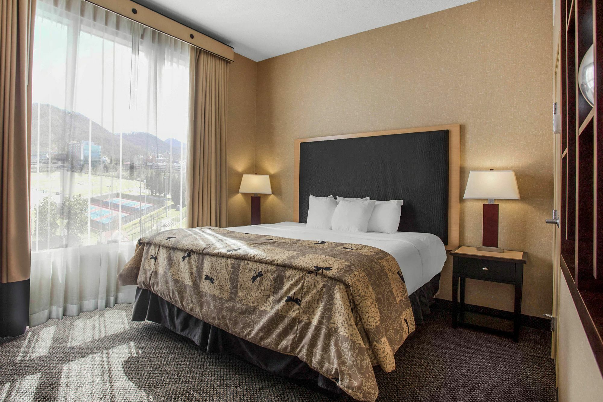 Springhill Suites By Marriott Roanoke Ngoại thất bức ảnh