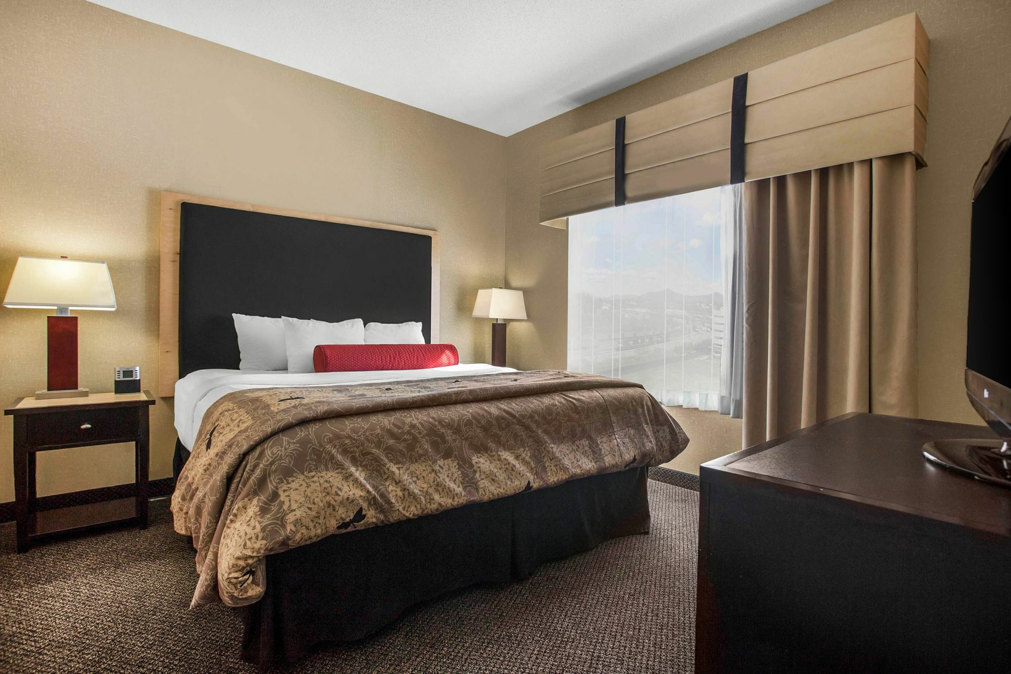 Springhill Suites By Marriott Roanoke Ngoại thất bức ảnh